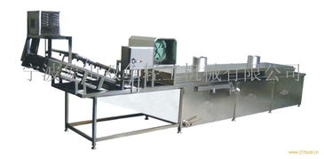 供应漂烫气泡清洗机与升降机的制造工艺与应用解析